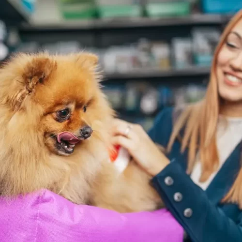 Marketing para Pet Shop - Guia Completo